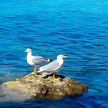 De Charme Cecil (adults Only) Juan-les-Pins