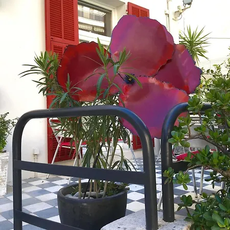Hôtel Cecil Hotel